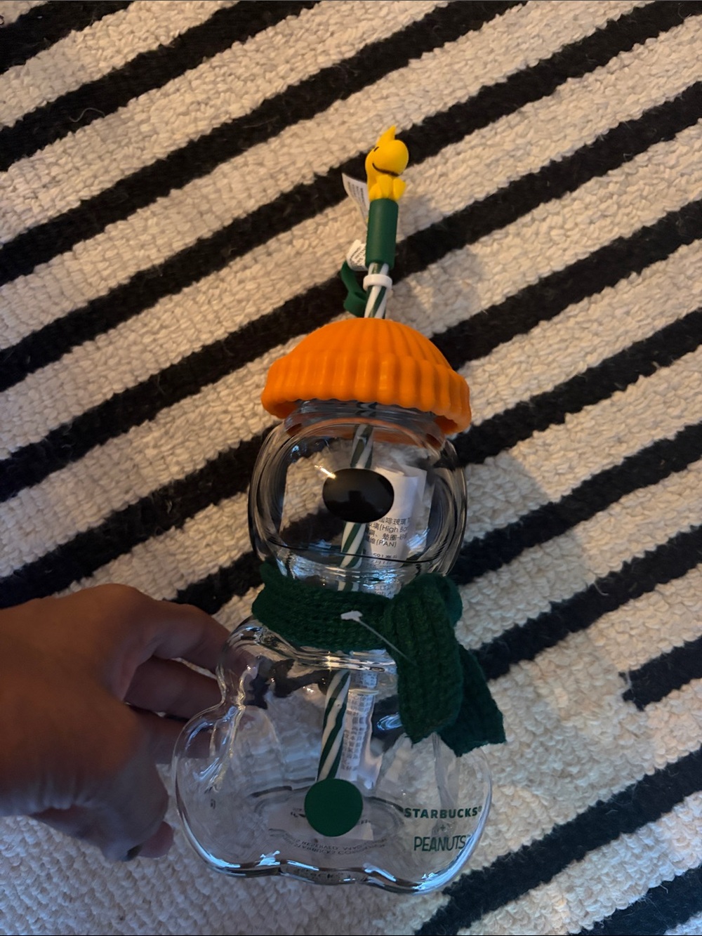 NWT Starbucks x Snoopy with Orange Hat and Green Scarf Accents